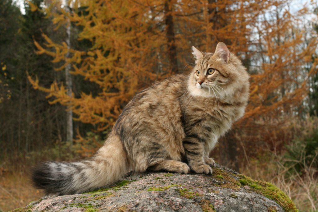 ussiapoikasynt1842011superihanaluonne78.jpg