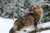 img_3387_small.jpg