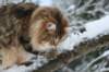 img_3390_small.jpg