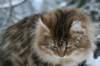 img_3391_small.jpg