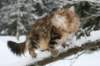 img_3393_small.jpg