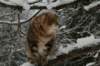 img_3400_small.jpg