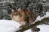 img_3413_small.jpg