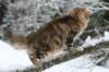 img_3421_small.jpg