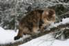 img_3441_small.jpg