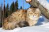 img_7350_small.jpg