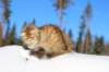 img_7378_small.jpg