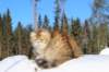 img_7384_small.jpg