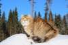 img_7385_small.jpg