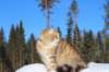 img_7393_small.jpg