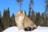 img_7395_small.jpg