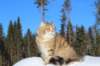 img_7399_small.jpg