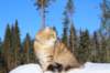 img_7400_small.jpg