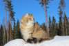 img_7401_small.jpg