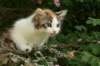 img_6271_small.jpg