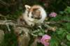 img_6274_small.jpg