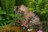 img_4147_small.jpg