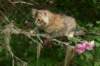 img_6136_small.jpg