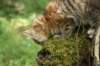 img_8302_small.jpg