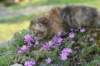 img_2552_small.jpg