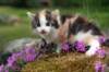 img_3404_small.jpg