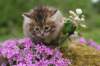 img_3318_small.jpg