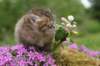img_3321_small.jpg