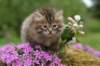img_3323_small.jpg