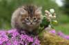 img_3327_small.jpg