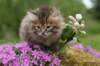 img_3328_small.jpg