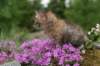 img_3348_small.jpg