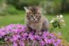 img_3349_small.jpg