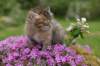img_3350_small.jpg