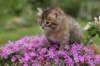 img_3351_small.jpg