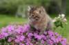 img_3352_small.jpg