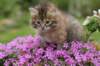 img_3358_small.jpg