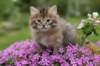 img_3359_small.jpg