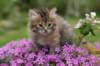img_3361_small.jpg
