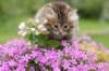 img_3366_small.jpg