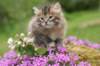 img_3367_small.jpg