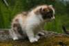 img_3541_small.jpg