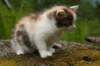 img_3542_small.jpg