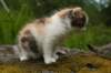 img_3544_small.jpg