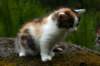 img_3545_small.jpg