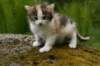 img_3589_small.jpg
