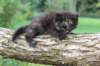 batael4weeks109202510_small.jpg