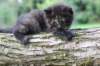 batael4weeks109202520_small.jpg