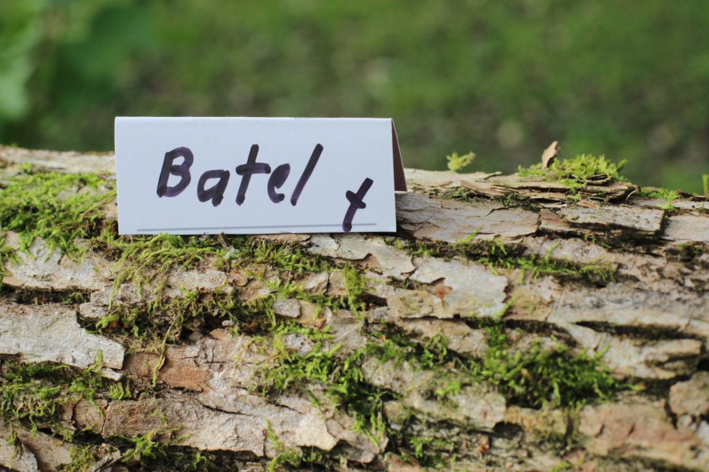 batel65weeks26920251.jpg