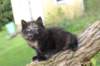 batel65weeks269202510_small.jpg