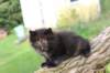batel65weeks269202511_small.jpg